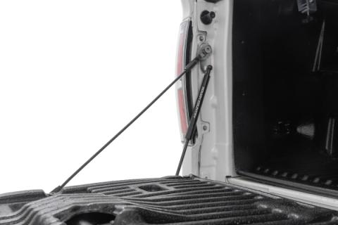 Tailgate Assist Ford F-150 2WD/4WD (2004-2014) Rough Country