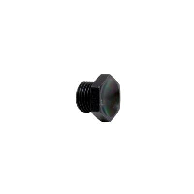 High Volume Fuel Rail Port Plug -6 (9/16 in.-18) AEM Electronics