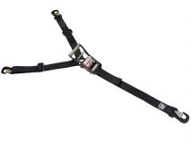 Horizontal Tire Ratcheting Y Tie-Down Strap Bulldog Winch