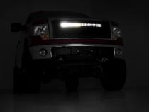 Ford Mesh Grille w/30 Inch Dual Row Black Series LED 09-14 F-150 Rough Country