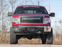 Mesh Grille 30 Inch Dual Row LED Chrome White DRL 09-14 Ford F-150 Rough Country