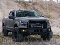SS3 LED Fog Light Kit for 2015-2020 Ford F-150 Yellow SAE Fog Pro w/ Backlight Diode Dynamics