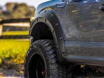 Fender Flares Defender BN Silver Spruce Ford F-150 2WD/4WD (2015-2020) Rough Country