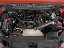 Ford Cold Air Intake w/Pre-Filter Bag (15-20 F-150 5.0L) Rough Country
