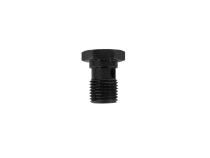 Adjustable Fuel Pressure Regulator Banjo Bolt Banjo Bolt AEM Electronics