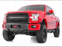 Ford Mesh Grille 30 Inch Dual Row Black Series LED w/Cool White DRL 15-17 F-150 Rough Country
